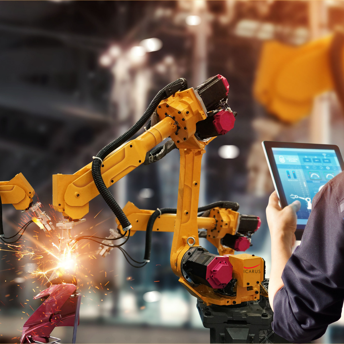 Software & Digitalisierung